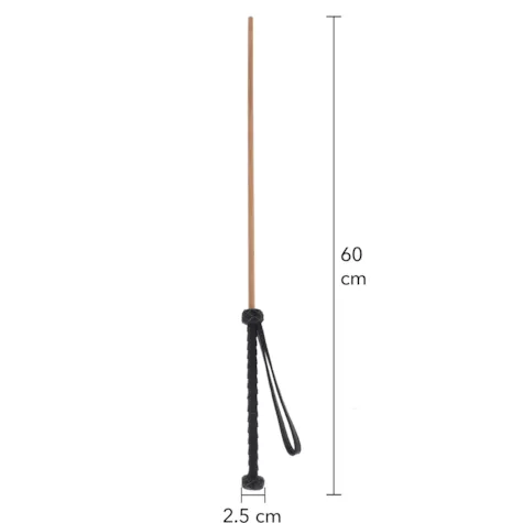 The Obedience Cane