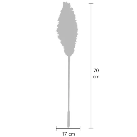 Double Feather Tickler