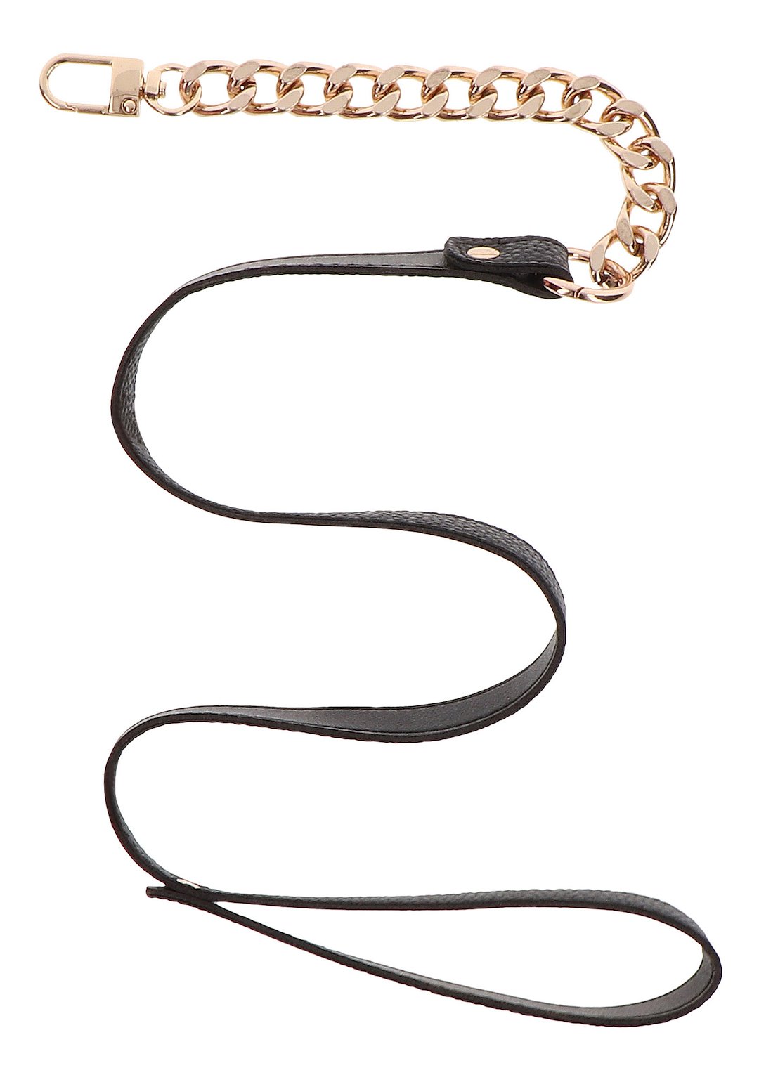 Statement Collar and leash — zdjęcie 4