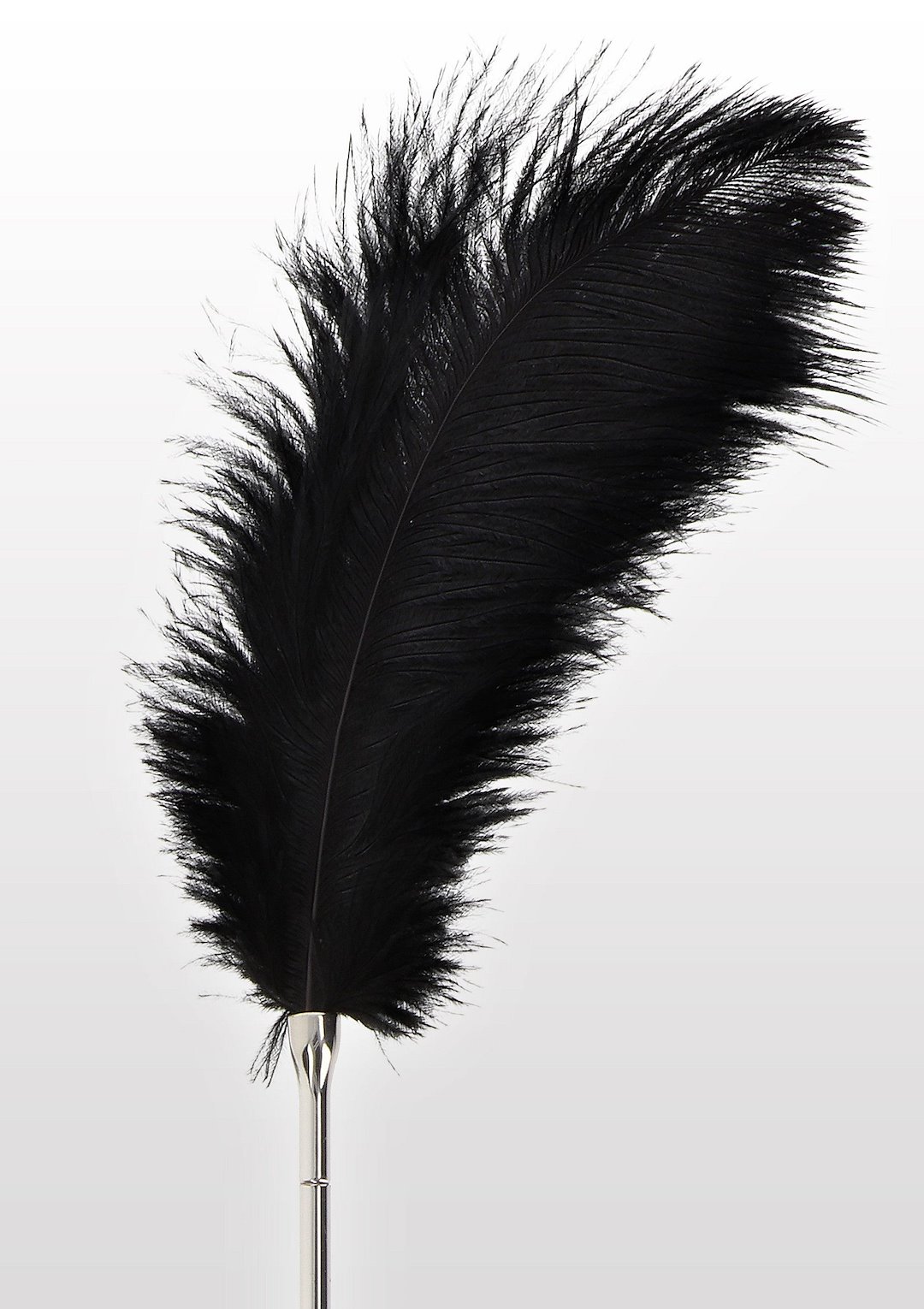 Feather Tickler — zdjęcie 3