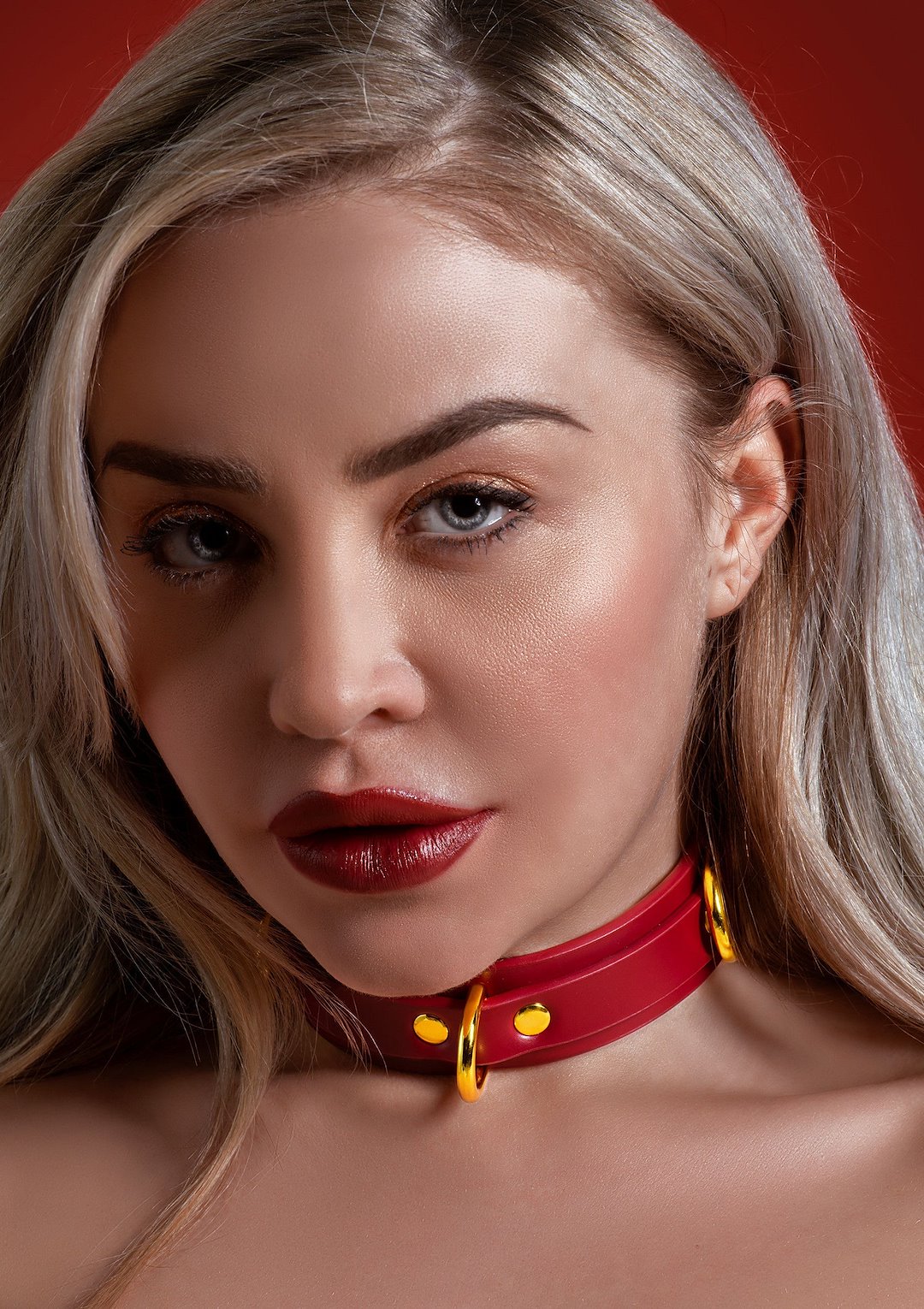 D-Ring Collar Deluxe — zdjęcie 3