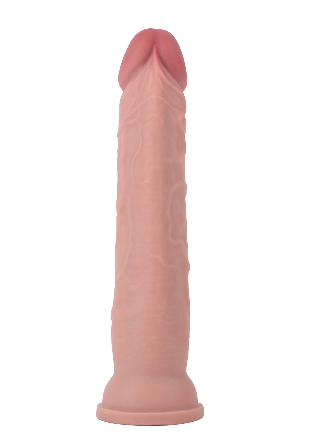 Deluxe Dual Density Dong 10 Inch — zdjęcie 4