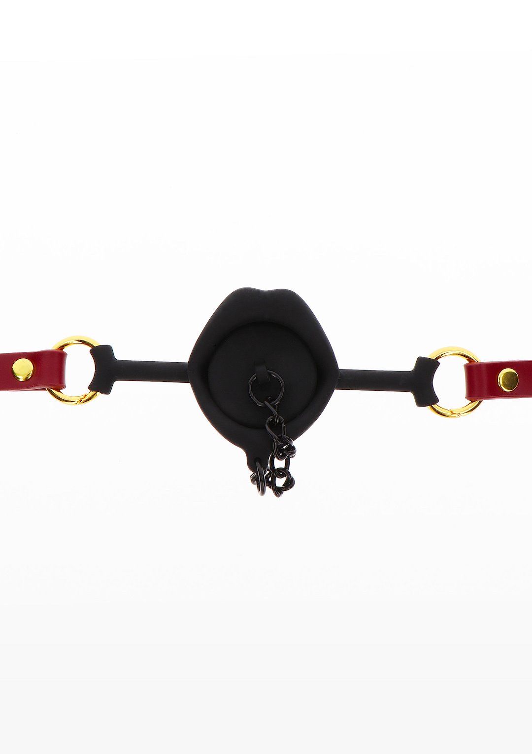 Kinky Gag with Plug — zdjęcie 4