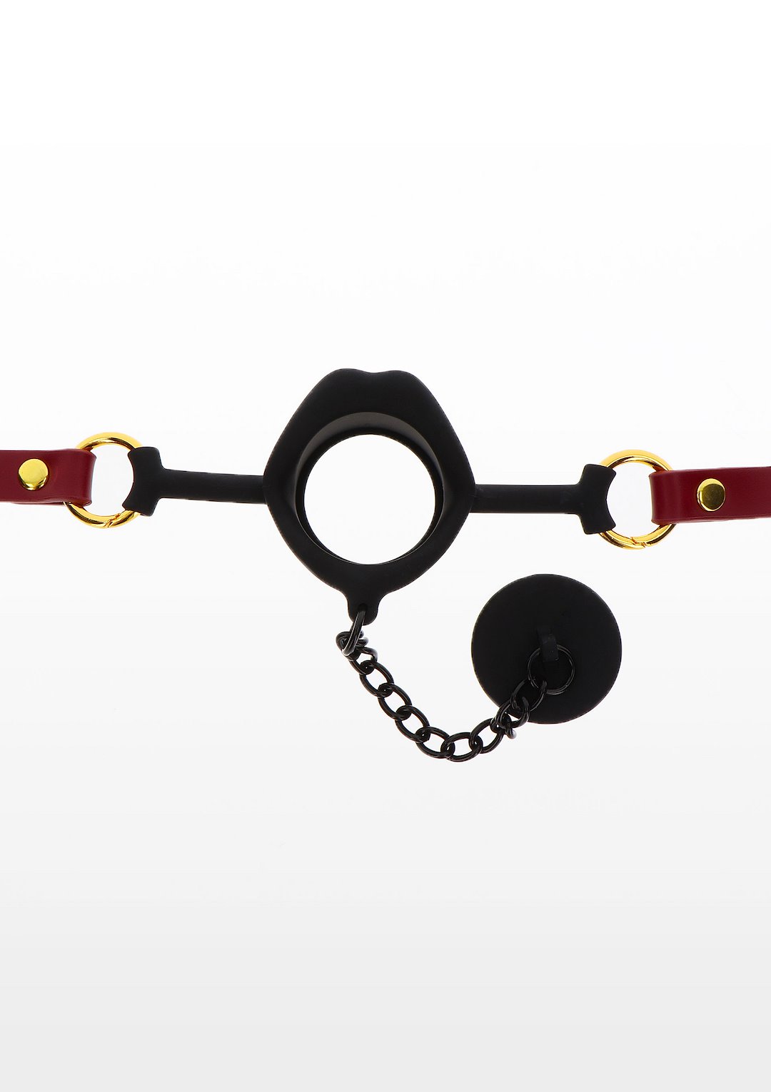 Kinky Gag with Plug — zdjęcie 5