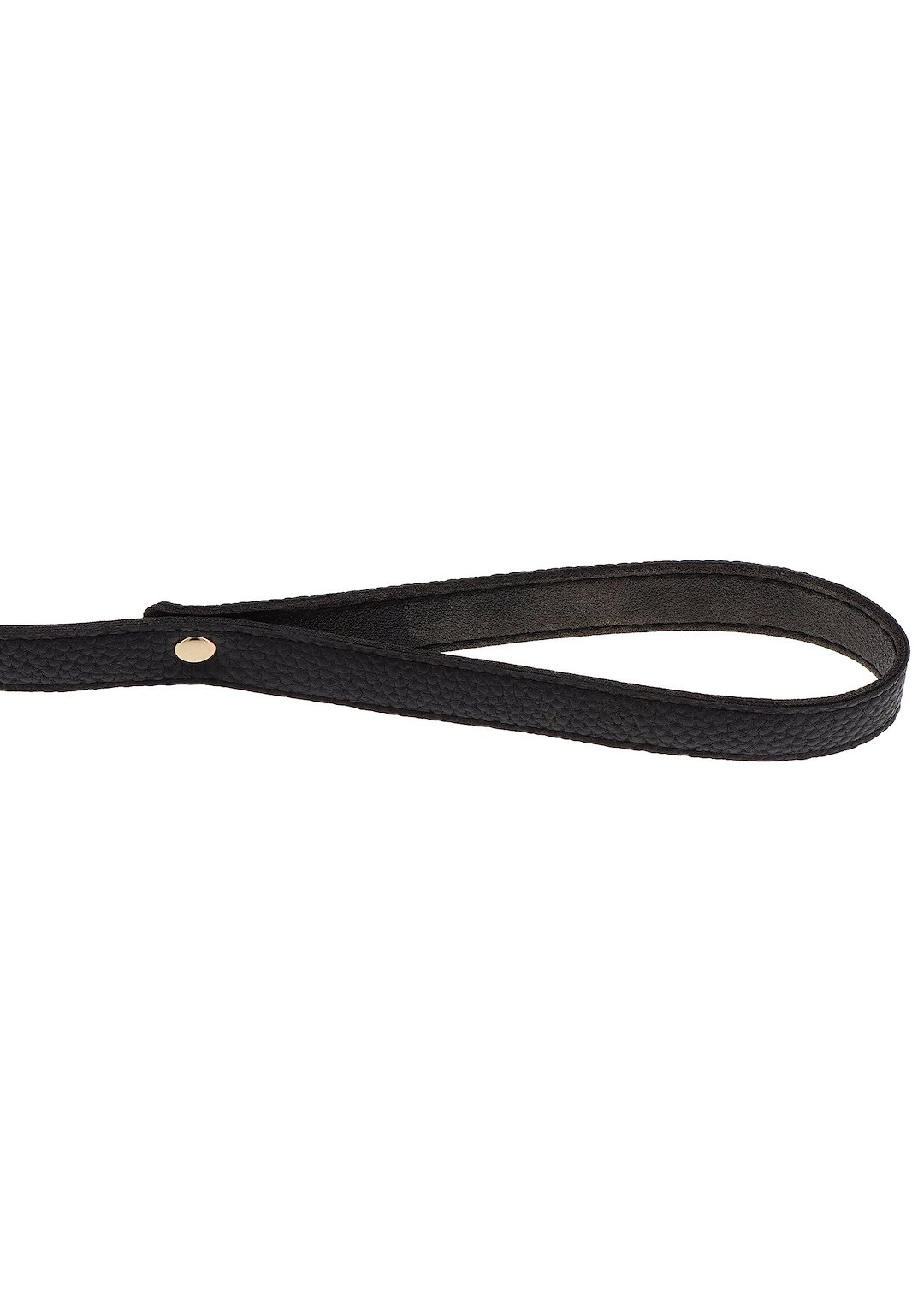 Statement Collar and leash — zdjęcie 8