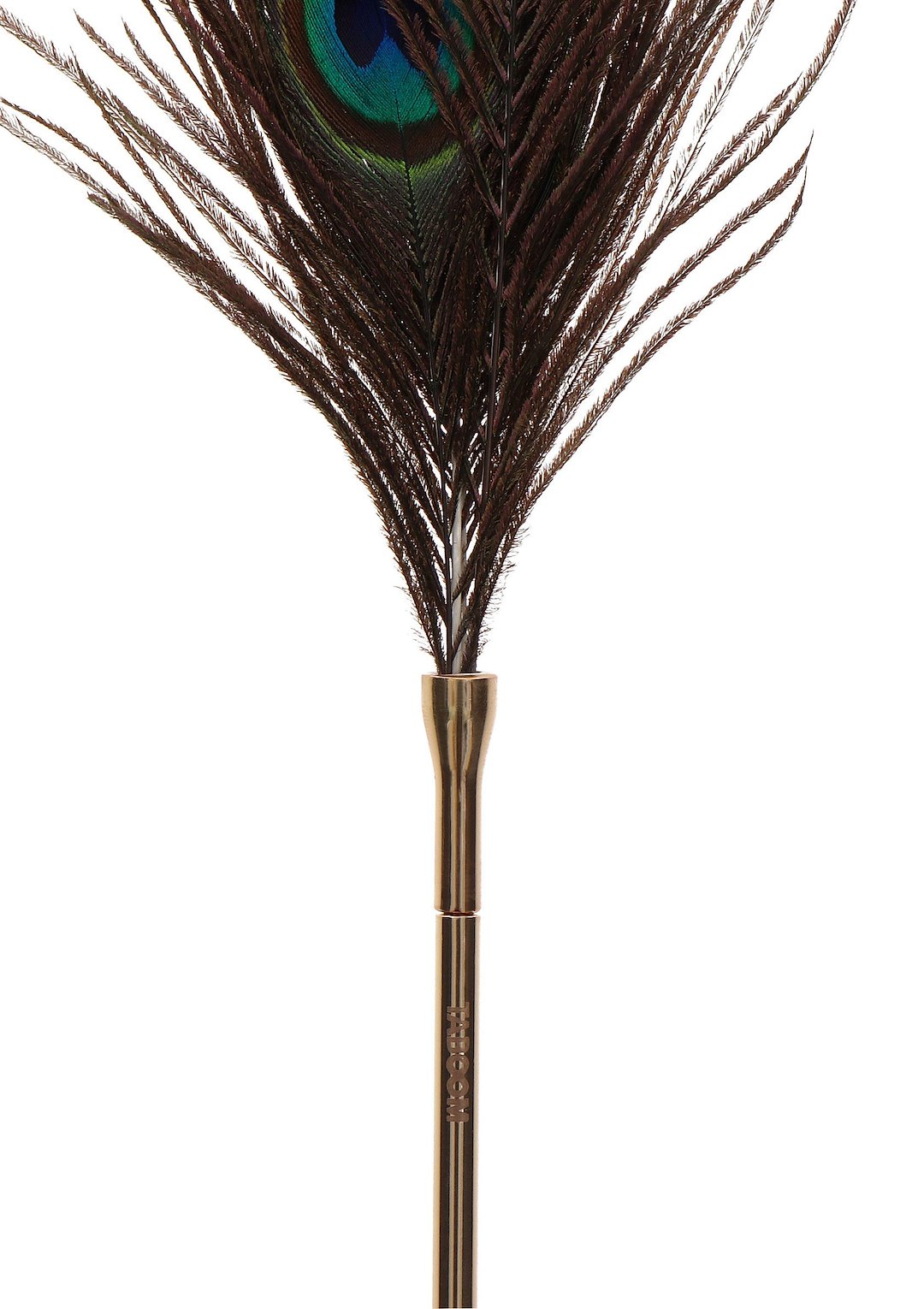 Peacock Tickler — zdjęcie 5