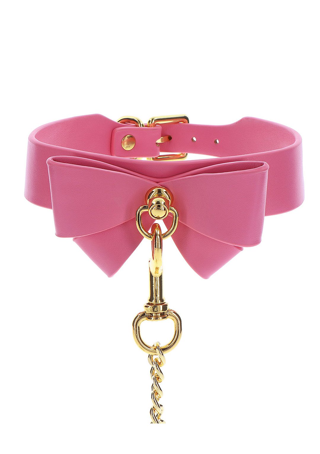 Collar and Leash — zdjęcie 5