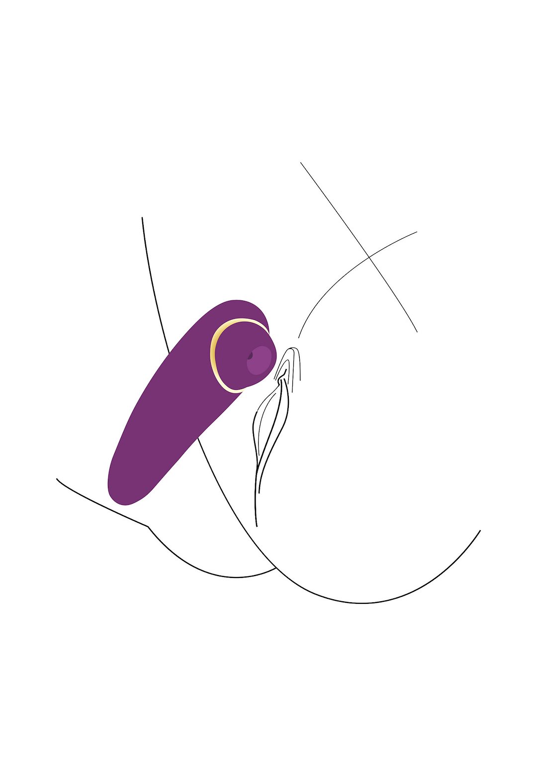 Xocoon Sensual Sway Air Stimulator — zdjęcie 6