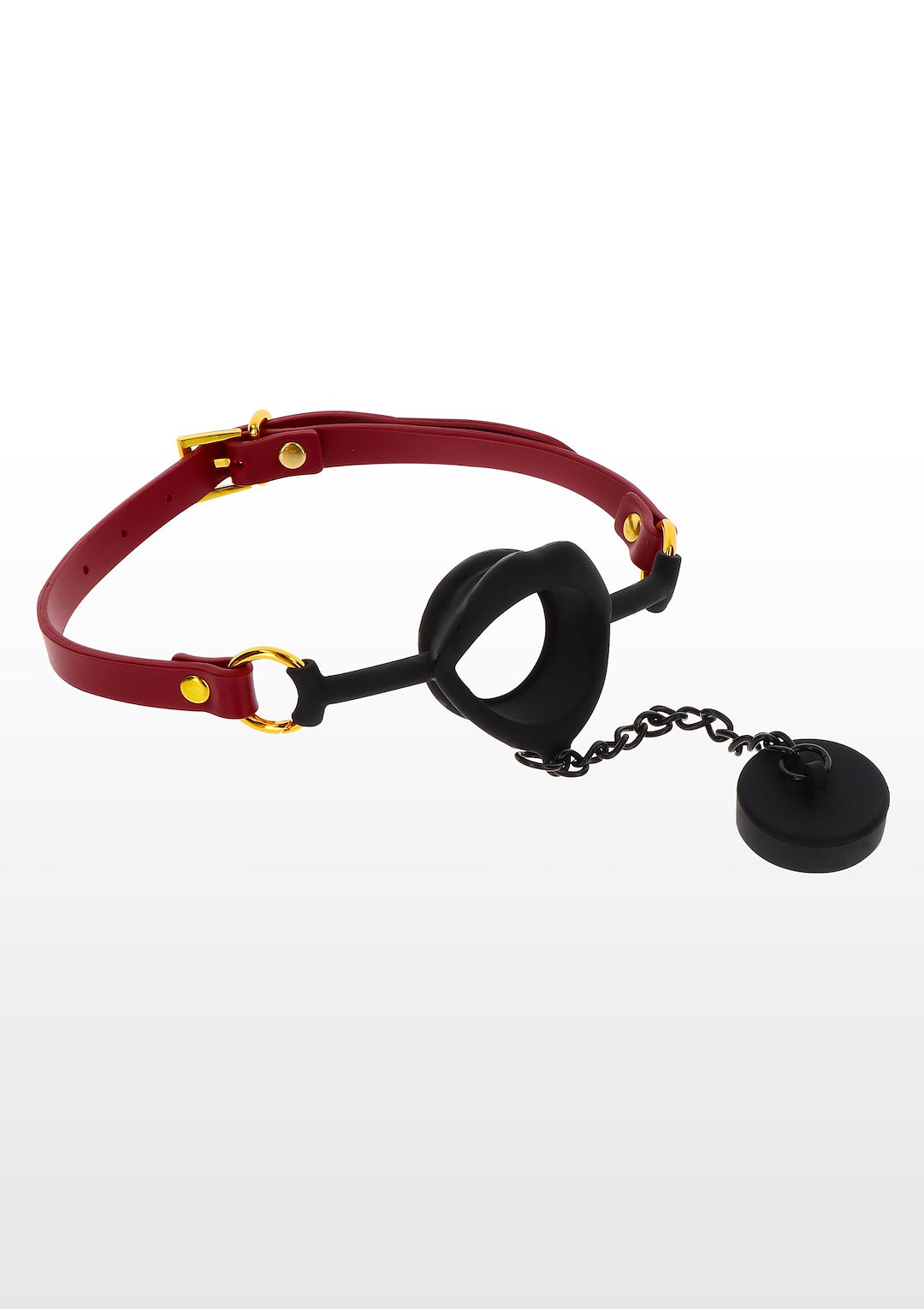 Kinky Gag with Plug — zdjęcie 6