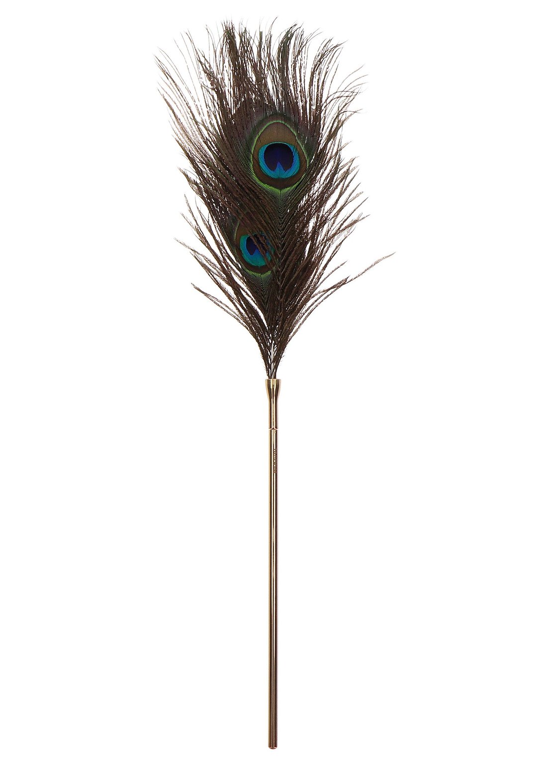 Peacock Tickler — zdjęcie 6