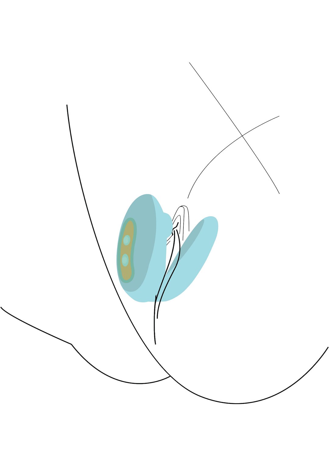 Couples Foreplay Enhancer — zdjęcie 9