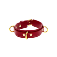 D-Ring Collar Deluxe
