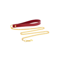 Chain Leash