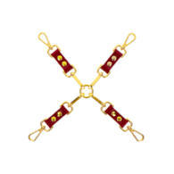 Taboom Bondage in Luxury Hogtie
