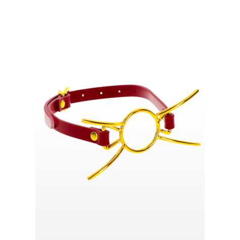 Taboom Bondage in Luxury Open Mouth Spider Gag