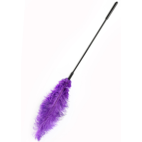 Double Feather Tickler