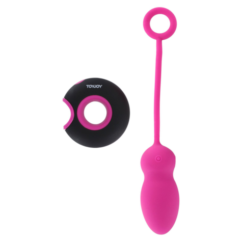 Embrace I Remote control egg