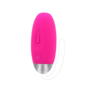 ToyJoy Funky Fun Toys Funky Remote Egg