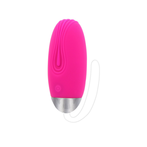 ToyJoy Funky Fun Toys Funky Remote Egg