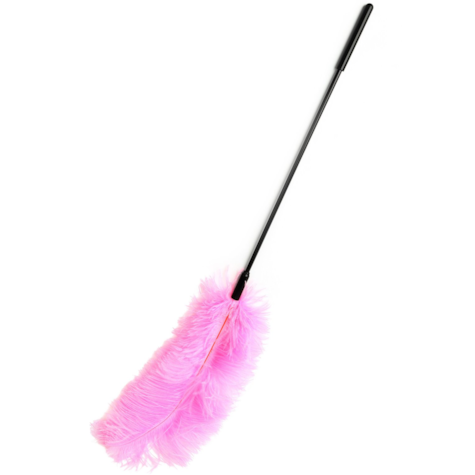 Double Feather Tickler