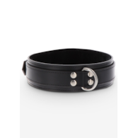 Heavy D-Ring Collar