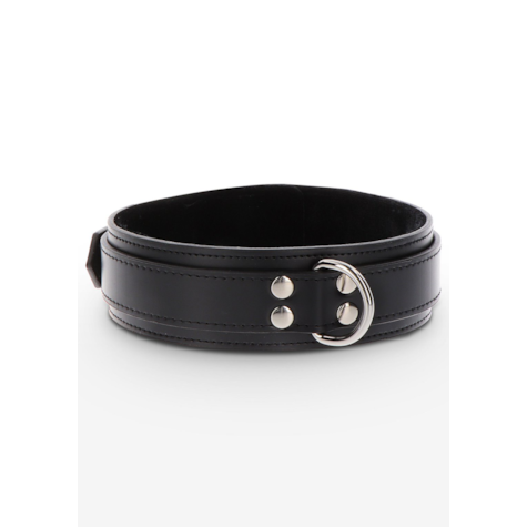 Heavy D-Ring Collar