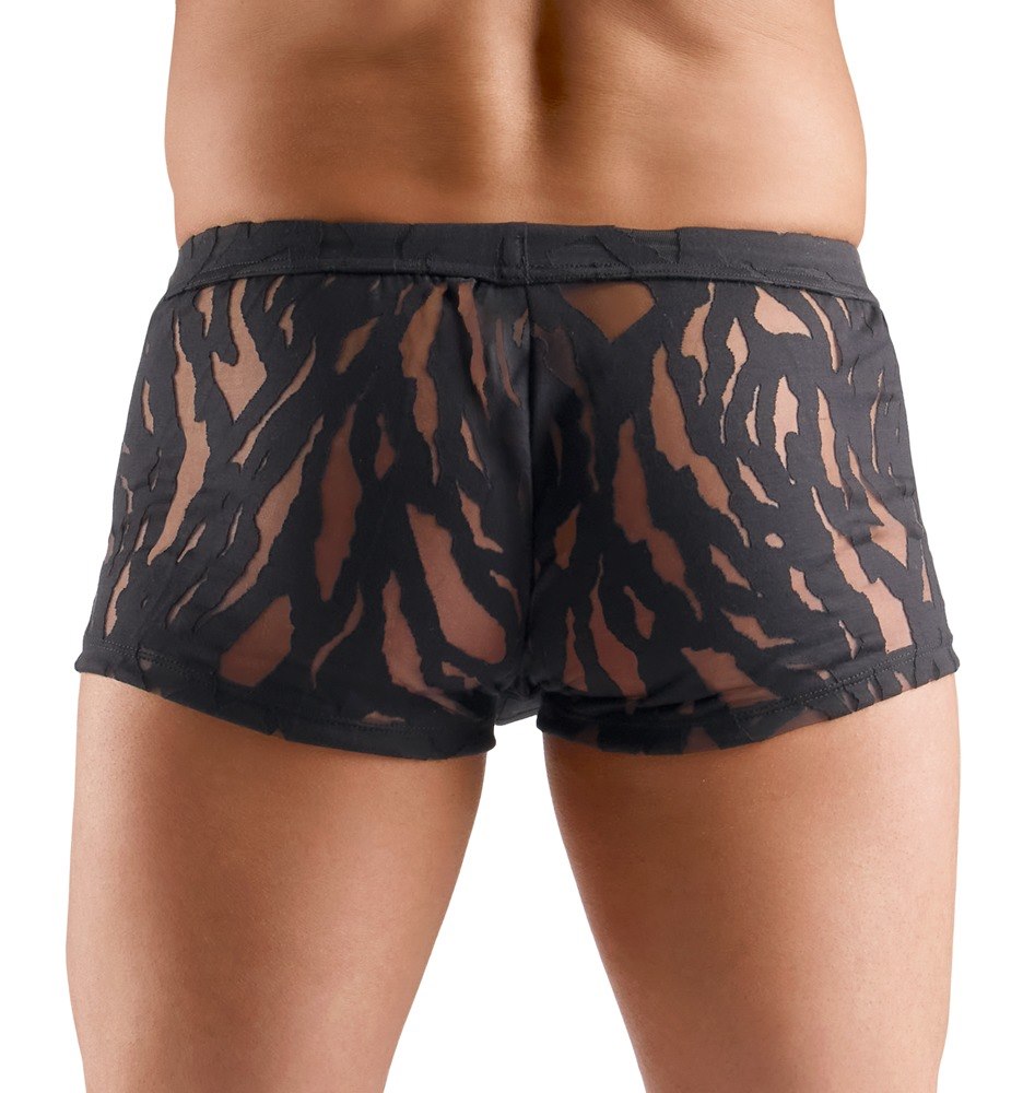 M. Pants XXL — zdjęcie 5