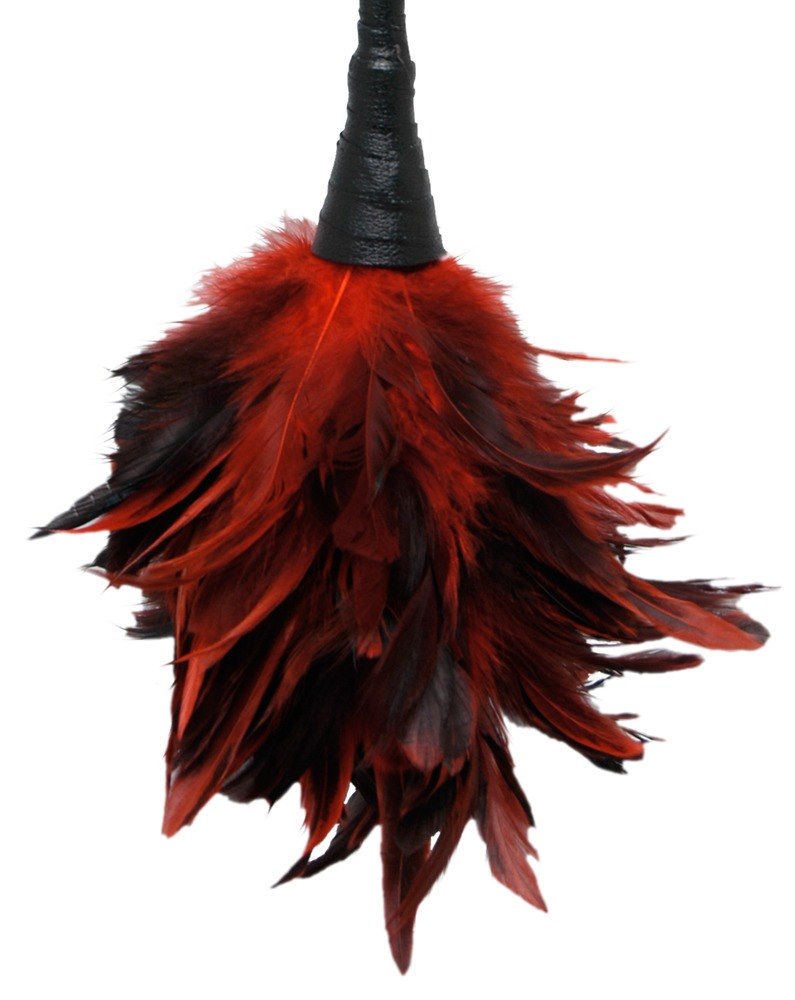 FFS Frisky Feather Duster — zdjęcie 2