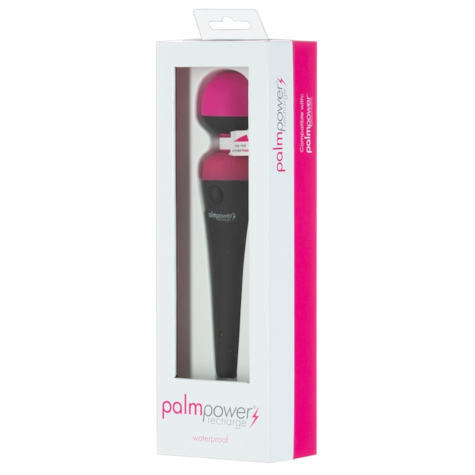 Masażer Palm Power