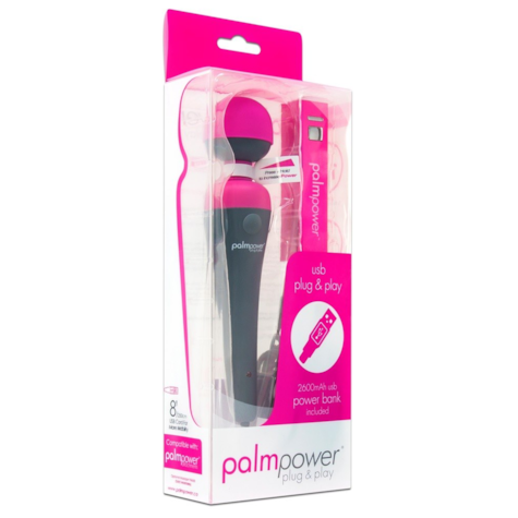 PalmPower Masażer
