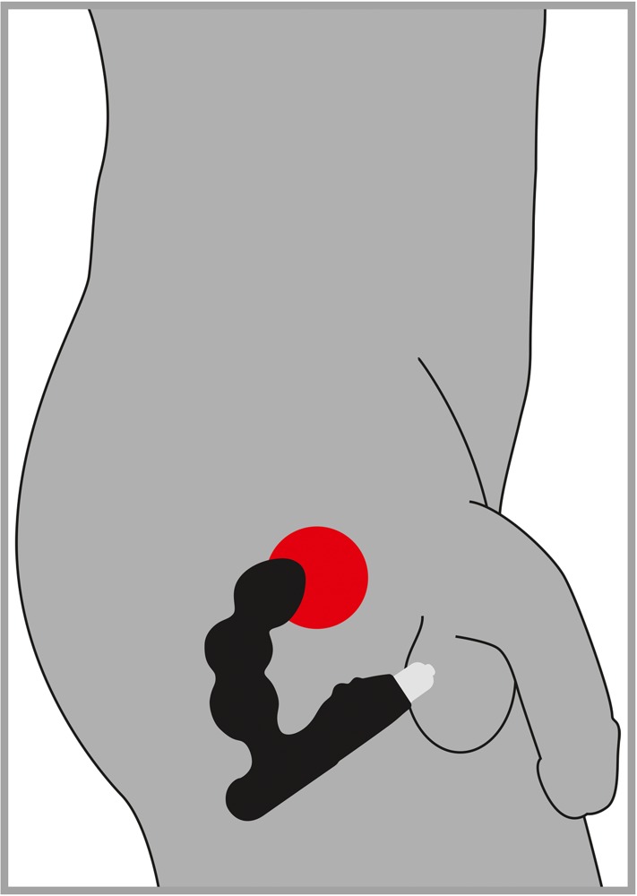 Masażer Prostaty Rebel — zdjęcie 6