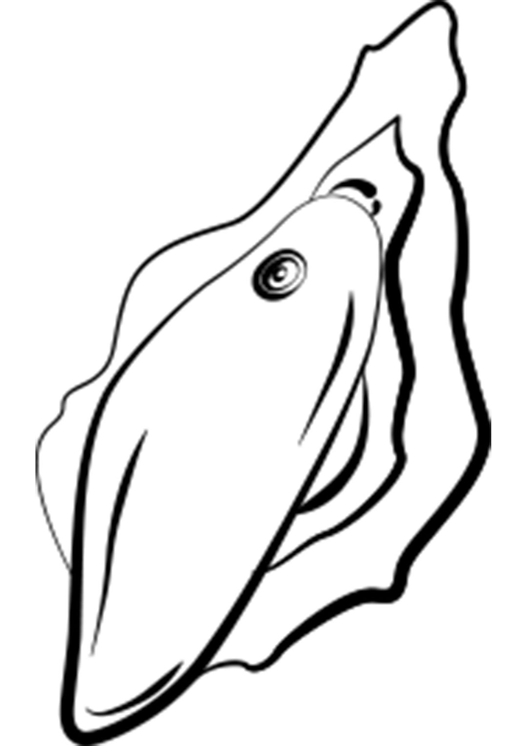 ROMP Wave — zdjęcie 10