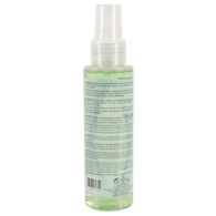 Fleshlight płyn antybakteryjny 100 ml