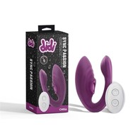 Didi Sync Passion Purple Massager