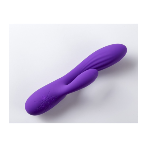 RECHARGEABLE VIBRATOR V1 PURPLE