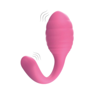 A2 REMOTE CONTROLLED VIBRATOR