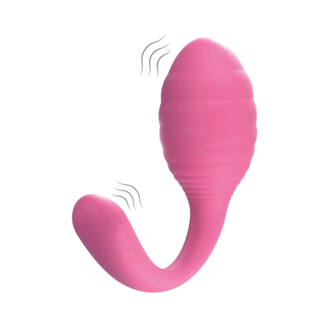 A2 REMOTE CONTROLLED VIBRATOR