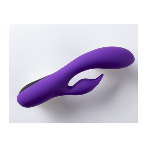 RECHARGEABLE VIBRATOR V2 PURPLE