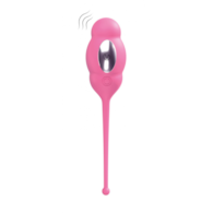 A3 REMOTE CONTROLLED EGG