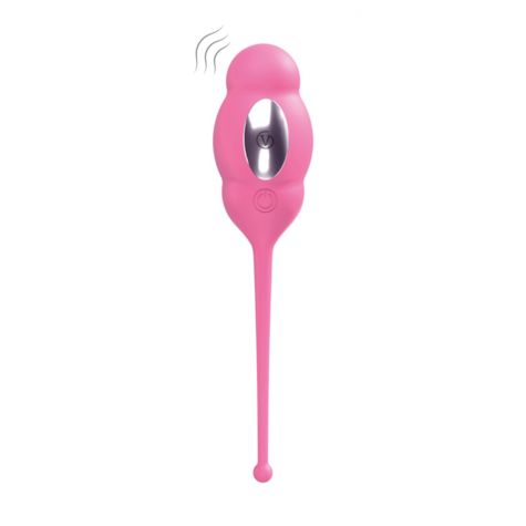 A3 REMOTE CONTROLLED EGG