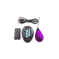 G1 RECHARGEABLE EGG WITH REMOTE CONTROLLER PURPLE