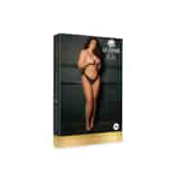 Claire - Elastic Lace Brief with Golden Details - Plus Size