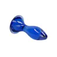 Follower - Glass Butt Plug