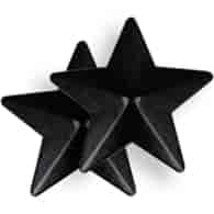 COQUETTE CHIC DESIRE - NIPPLE COVERS BLACK STARS