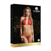 Snow Angel Lace Lingerie Set - One Size