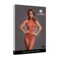 Fishnet and Lace Bodystocking - One Size