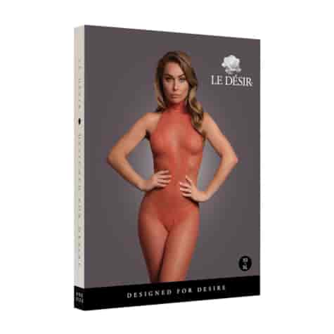 Fishnet and Lace Bodystocking - One Size