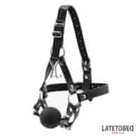 Head Harness with Ball Gag and Nose Hook