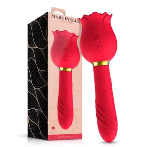 Rose with Suction and Vibe 2 in 1