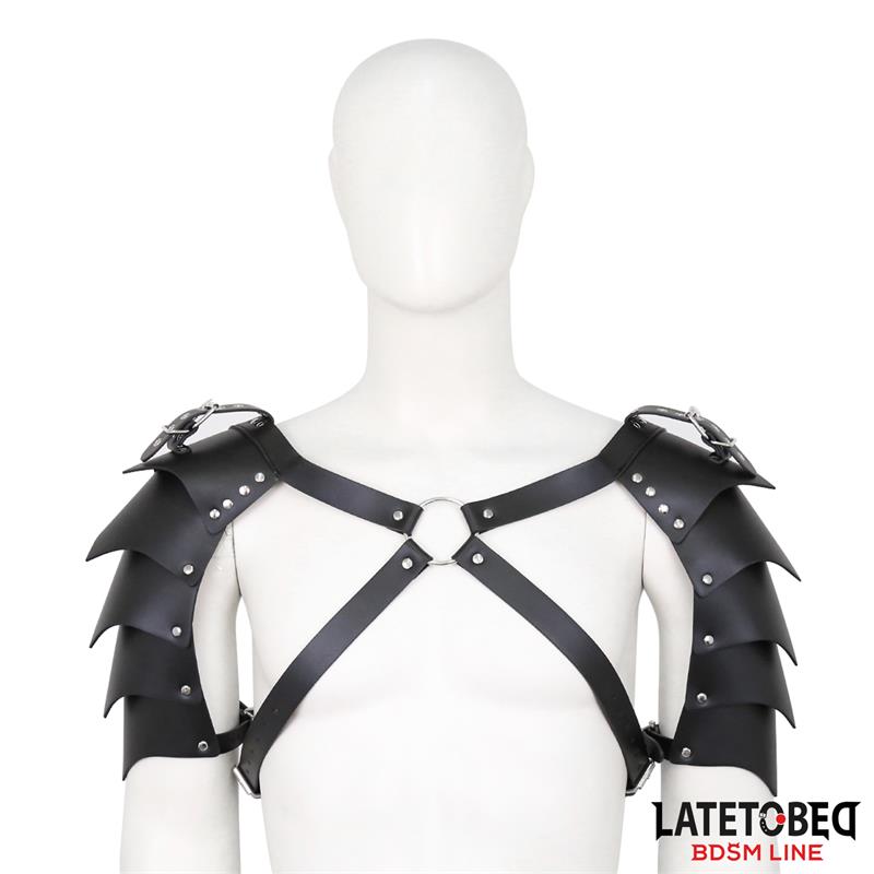 Shoulder Harness Adjustable — zdjęcie 2